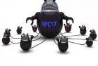 McAfee participe au démantèlement de Beebones